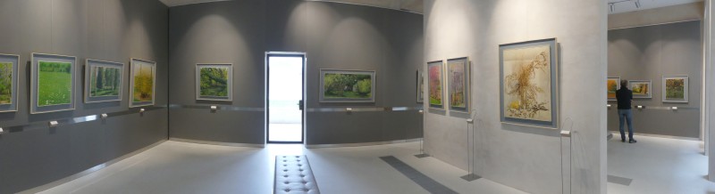 6  Piazza Bailo 17.jpg