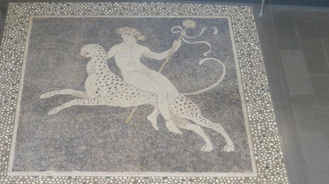 Mosaici nel museo di Pella.jpg