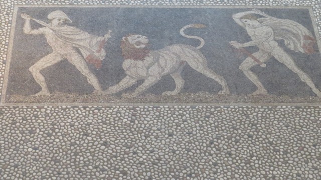 Mosaici nel museo di Pella_02.jpg