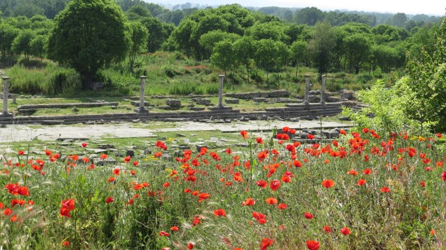 Scavi archeologici a Filippi.jpg
